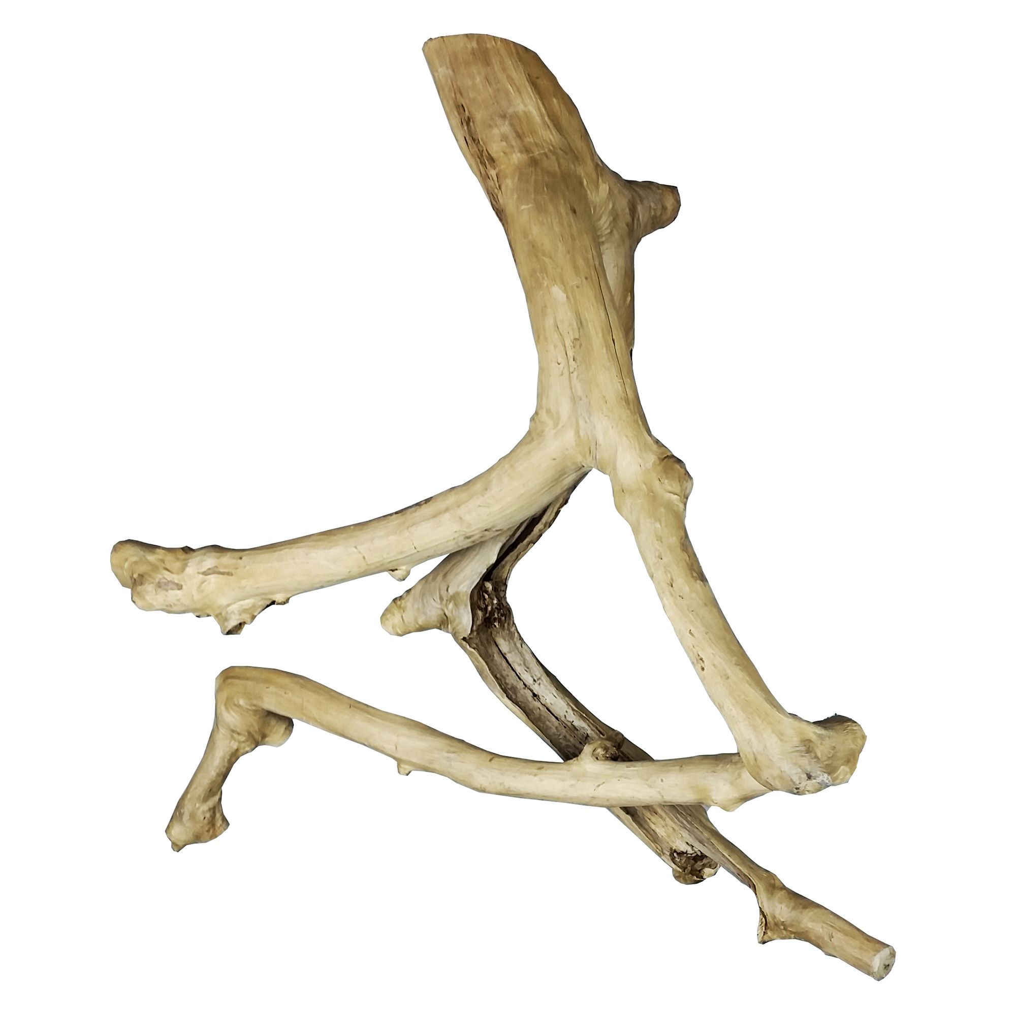 A&E Cage Company Java Wood Branch - Natural Wood Bird Cage Perch - thumbnail 2
