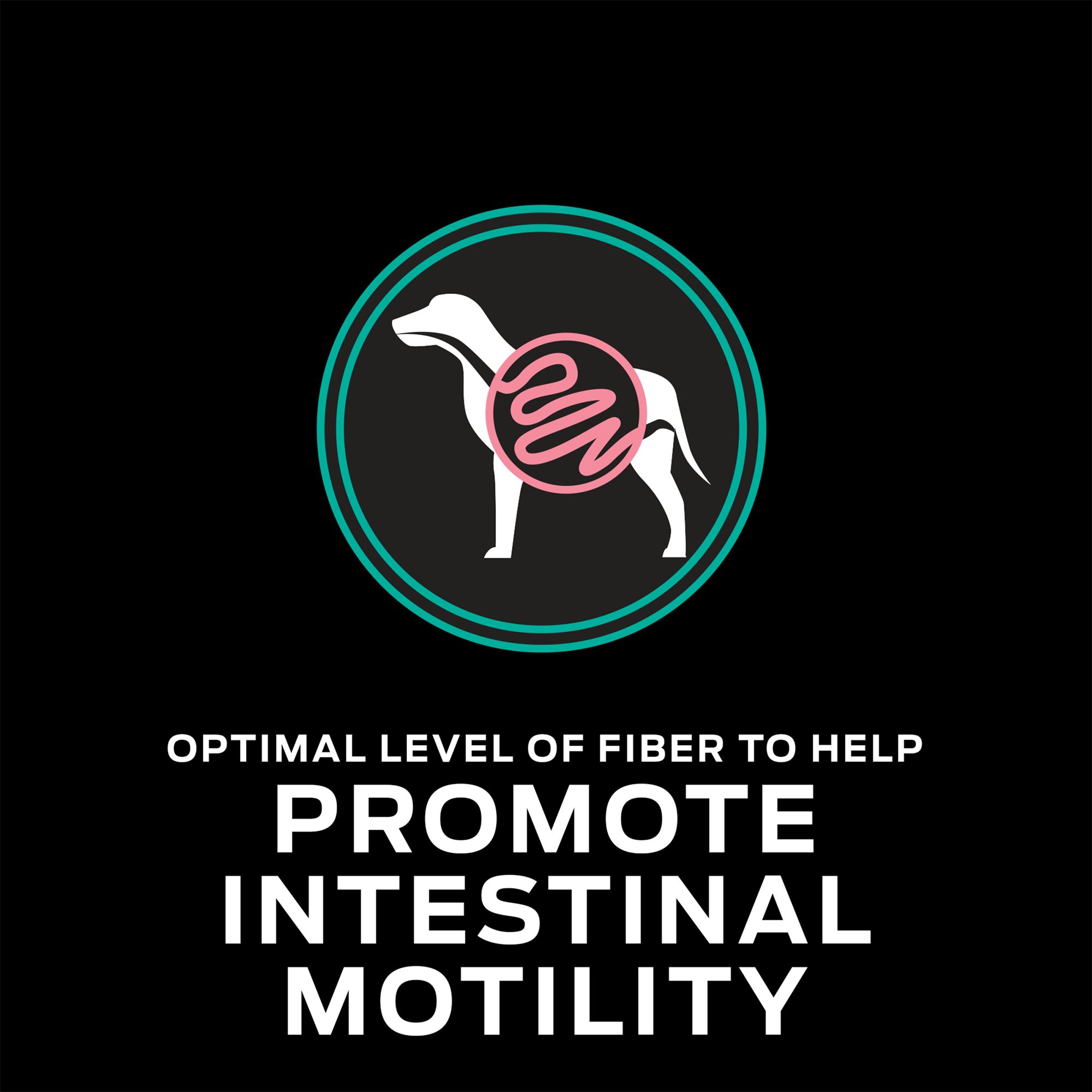 purina balance dog food