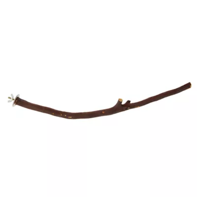 Product All Living Things® Manzanita Bird Perch