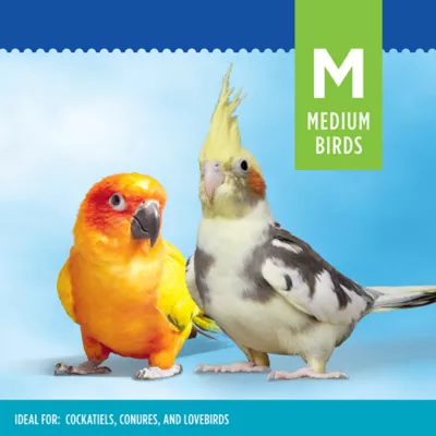 Product All Living Things® Manzanita Bird Perch