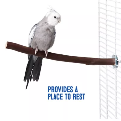 Product All Living Things® Manzanita Bird Perch