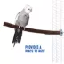All Living Things® Manzanita Bird Perch image thumbnail 5