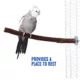 Product All Living Things® Manzanita Bird Perch