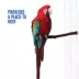 All Living Things® Manzanita Bird Perch image thumbnail 5