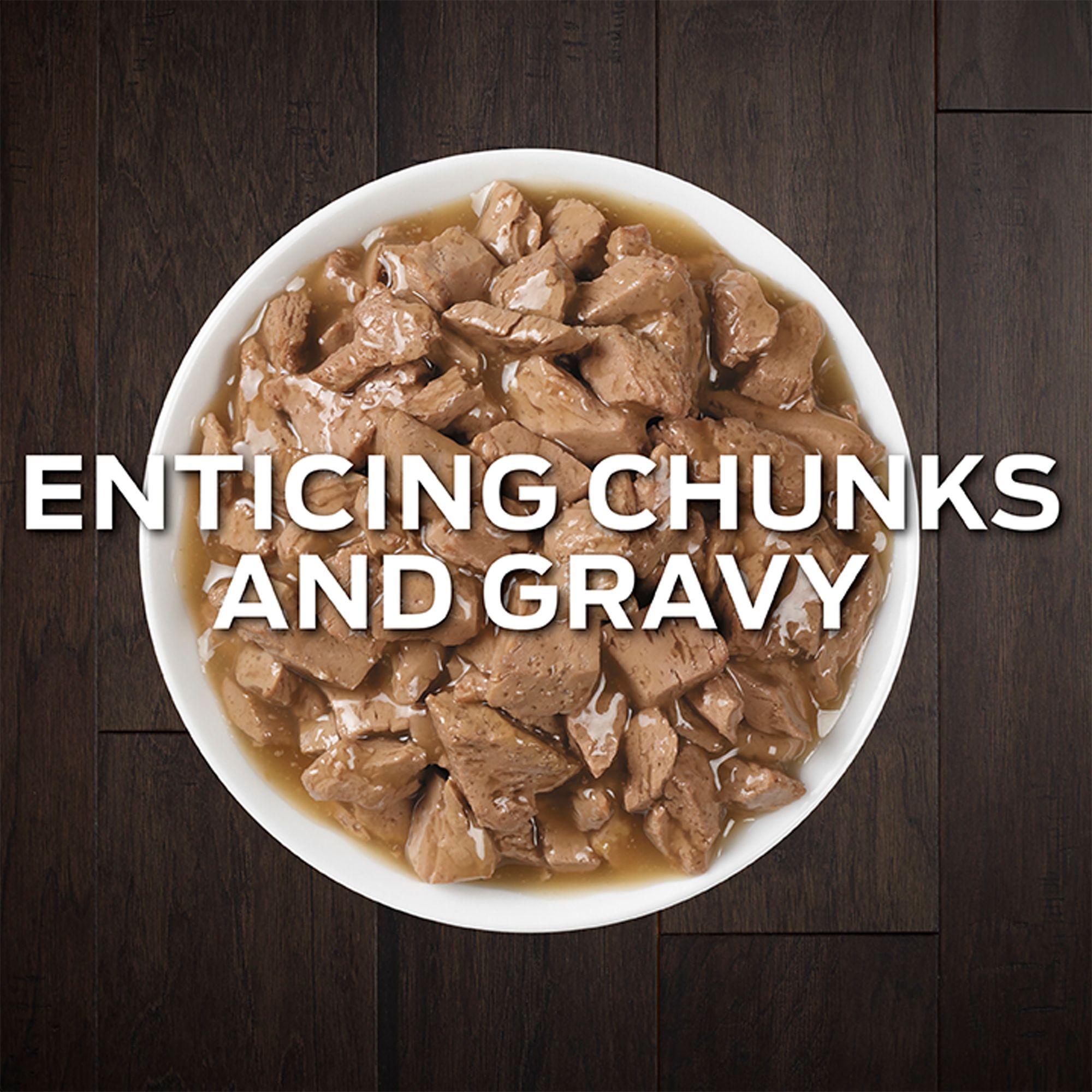 purina dm cat food canada