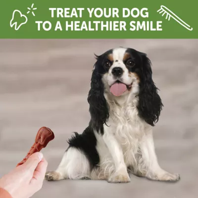 Product WHIMZEES Brushzees Dental Dog Treat - Natural, Grain Free, 1 Count