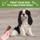 Product WHIMZEES Brushzees Dental Dog Treat - Natural, Grain Free, 1 Count
