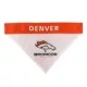 Product Denver Broncos NFL Reversible Pet Bandana