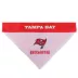 Tampa Bay Buccaneers NFL Reversible Pet Bandana image thumbnail 2