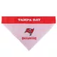 Product Tampa Bay Buccaneers NFL Reversible Pet Bandana