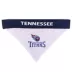 Tennessee Titans NFL Reversible Pet Bandana image thumbnail 2