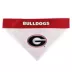 Georgia Bulldogs NCAA Reversible Pet Bandana image thumbnail 2