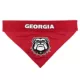 Product Georgia Bulldogs NCAA Reversible Pet Bandana