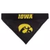 Iowa Hawkeyes NCAA Reversible Pet Bandana image thumbnail 3