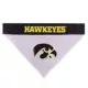 Product Iowa Hawkeyes NCAA Reversible Pet Bandana