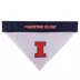 Illinois Fighting Illini NCAA Reversible Pet Bandana image thumbnail 2