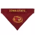Pets First Iowa State Cyclones NCAA Reversible Bandana image thumbnail 3