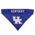 Kentucky Wildcats NCAA Reverisble Pet Bandana image thumbnail 3