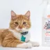 Skout's Honor® Cat Urine & Odor Destroyer image thumbnail 5