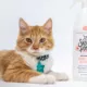 Product Skout's Honor® Cat Urine & Odor Destroyer