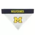 Michigan Wolverines NCAA Reversible Pet Bandana image thumbnail 2