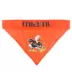 Pets First Miami Hurricanes NCAA Reversible Bandana image thumbnail 3