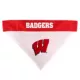 Product Wisconsin Badgers NCAA Reversible Bandana