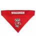Wisconsin Badgers NCAA Reversible Bandana image thumbnail 3