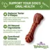 WHIMZEES Brushzees Dental Dog Treat - Natural, Grain Free, 1 Count image thumbnail 3