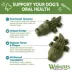 WHIMZEES Alligator Dental Dog Treat - Natural, 1 Count image thumbnail 3
