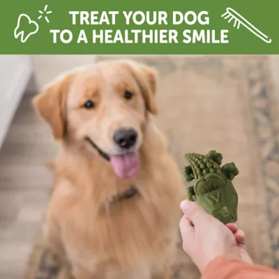 Product WHIMZEES Alligator Dental Dog Treat - Natural, 1 Count