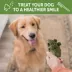 WHIMZEES Alligator Dental Dog Treat - Natural, 1 Count image thumbnail 5