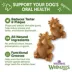 WHIMZEES Hedgehog Dental Dog Treat - Natural, 1 Count image thumbnail 3