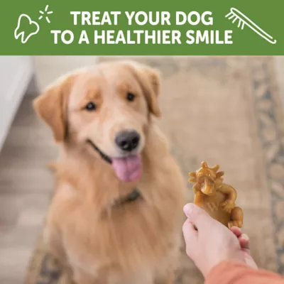 Product WHIMZEES Hedgehog Dental Dog Treat - Natural, 1 Count