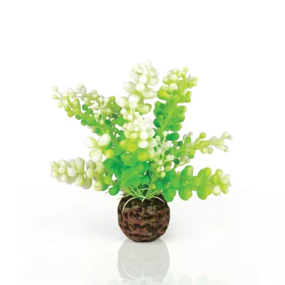 Product biOrb Green Caulerpa Artificial Aquarium Plant - 5"