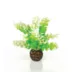 biOrb Green Caulerpa Artificial Aquarium Plant - 5" image thumbnail 1