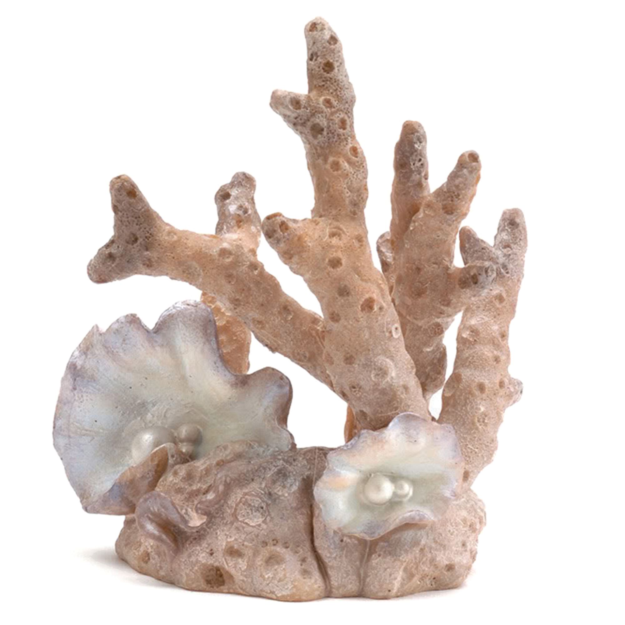 декоративные кораллы для аквариумов. кораллы декоративные. маленькие кораллы. маленькие кораллы. живые кораллы.