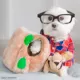 Product Outward Hound® Hide-a-Squirrel Puzzle Dog Toy - Plush, Squeaker