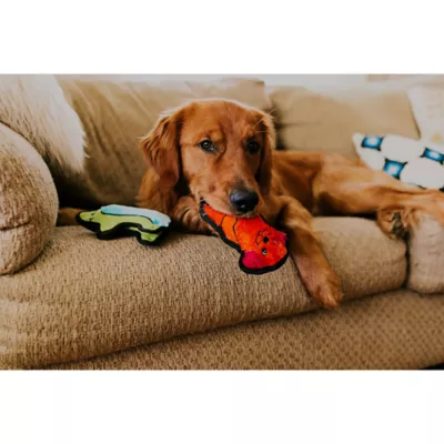 Product Outward Hound® Invincibles Mini Dog Toy - Squeaker