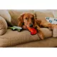 Product Outward Hound® Invincibles Mini Dog Toy - Squeaker