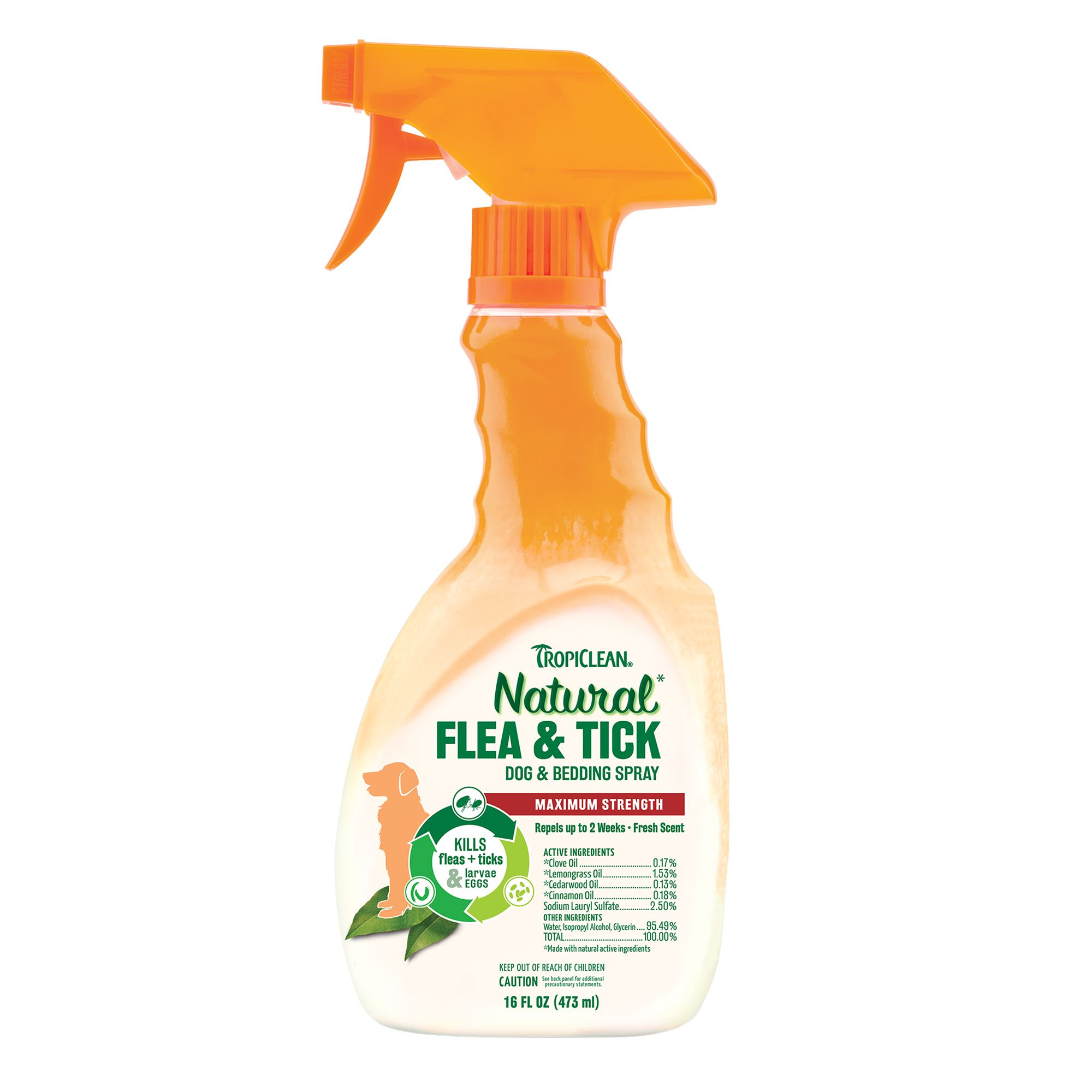 all natural flea repellent for dogs