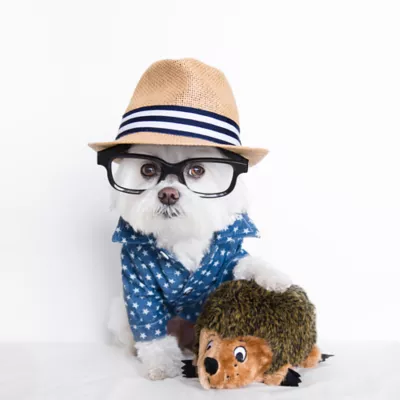 Product Outward Hound® Hedgehogz Dog Toy - Squeaker