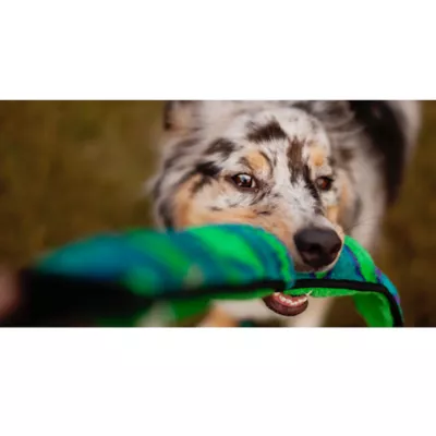 Product Outward Hound® Durablez Snake Dog Toy - Squeaker