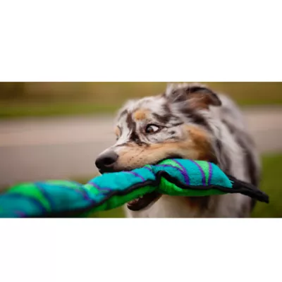 Product Outward Hound® Durablez Snake Dog Toy - Squeaker