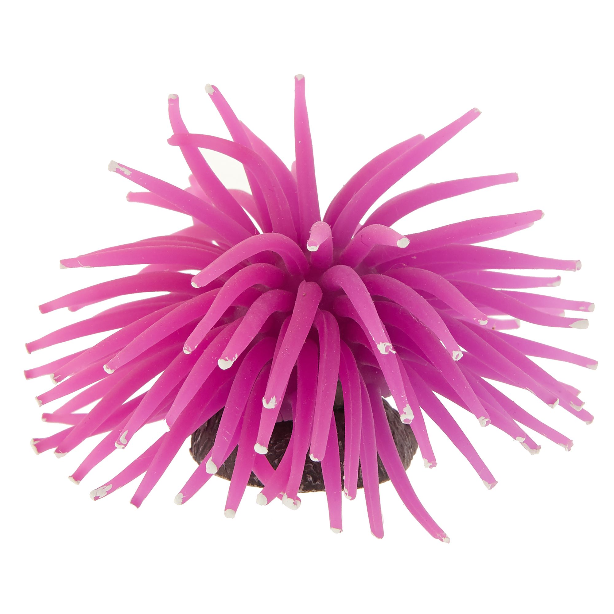 petsmart aquarium accessories