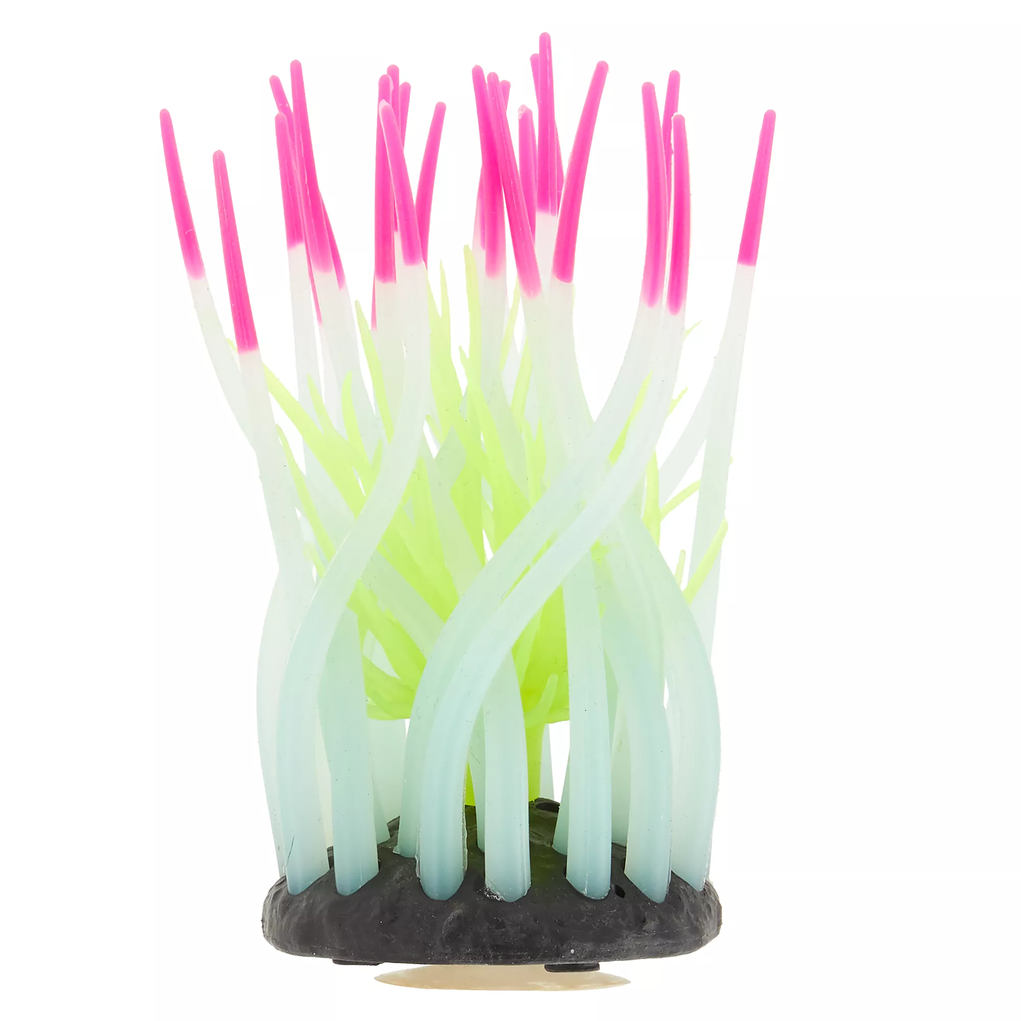 Top Fin® Glow-in-the-Dark Anemone Aquarium Ornament