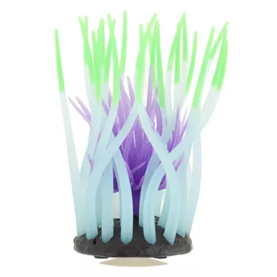 Product Top Fin® Glow-in-the-Dark Anemone Aquarium Ornament