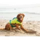 Product Outward Hound® Stanley Sport Dog Life jacket