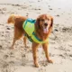 Product Outward Hound® Stanley Sport Dog Life jacket