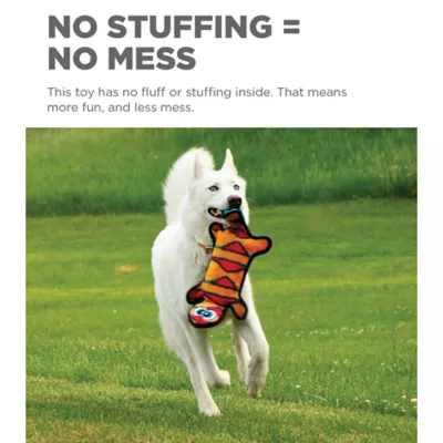 Product Outward Hound® Durablez Gecko Dog Toy - Squeaker